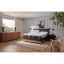 Tempur-Pedic TEMPUR-Ergo® Smart Base (Queen) IMAGE 8
