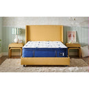  Size_Twin XL -- Studio Medium Euro Pillowtop Mattress (Twin XL) IMAGE 6