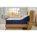  Size_Full -- Studio Medium Euro Pillowtop Mattress (Full) IMAGE 8