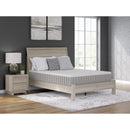  Size_King -- Terra Sleep Medium M52341 King Mattress IMAGE 3
