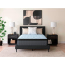  Size_Queen -- Destin Cove PT M33231 Queen Mattress IMAGE 4