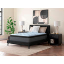  Size_Twin XL -- Destin Cove PT M33271 Twin XL Mattress IMAGE 3