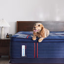  Size_Full -- Albany II Euro Pillow Top Soft Mattress (Full) IMAGE 9