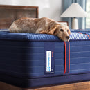  Size_Full -- Albany II Tight Top Firm Mattress (Full) IMAGE 9