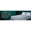  Tempur-Pedic TEMPUR-Adapt Luxe Egyptian Cotton Sheets - Graphite (King) IMAGE 3