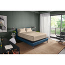  Tempur-Pedic TEMPUR-Adapt Luxe Egyptian Cotton Sheets - Sandstone (Queen) IMAGE 1